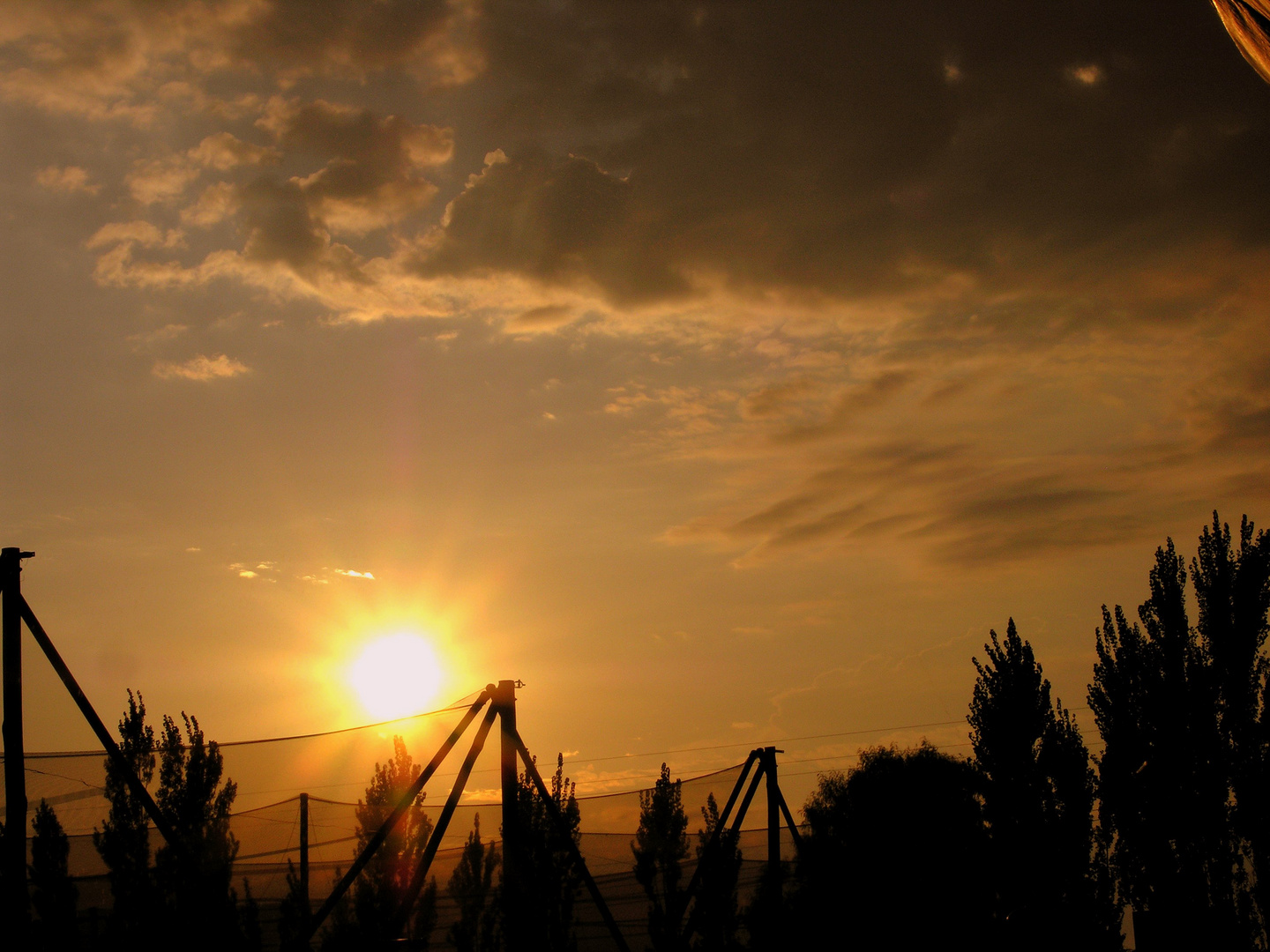 Amanecer entre las viñas