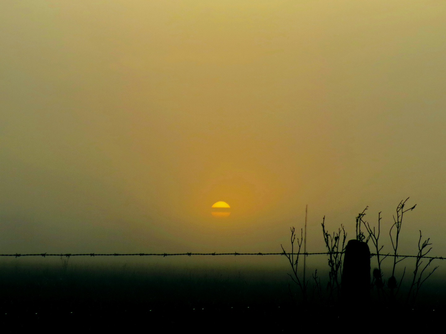 amanecer  pampeano