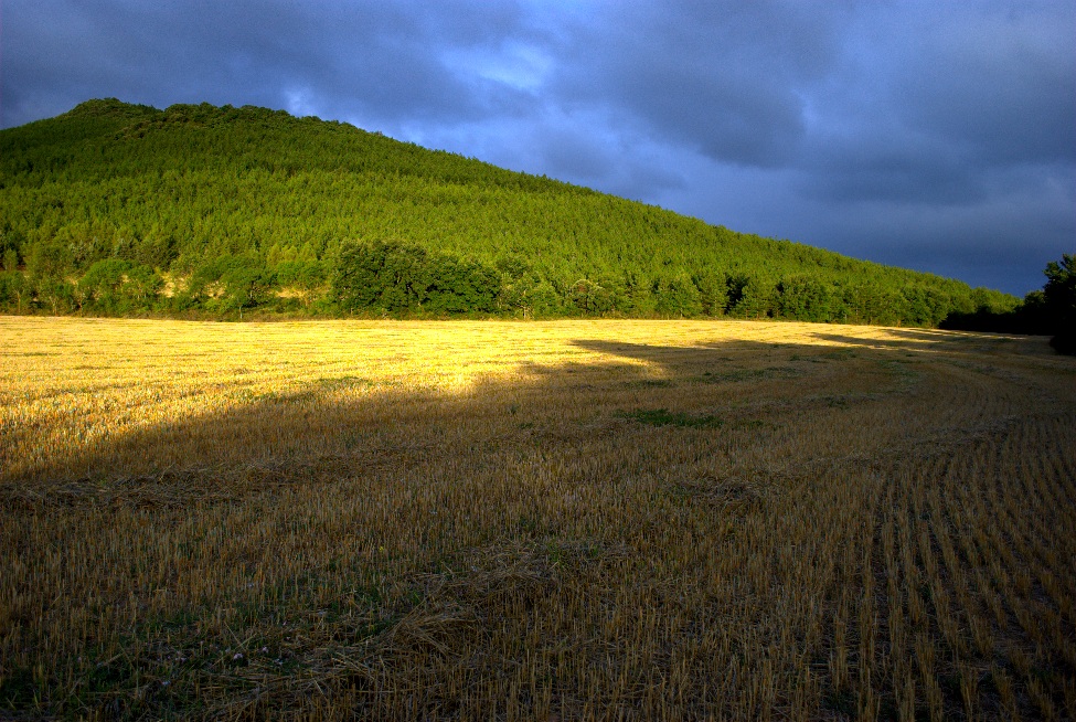 Amanecer, pantano Eyso,Navarra