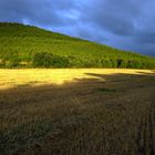 Amanecer, pantano Eyso,Navarra