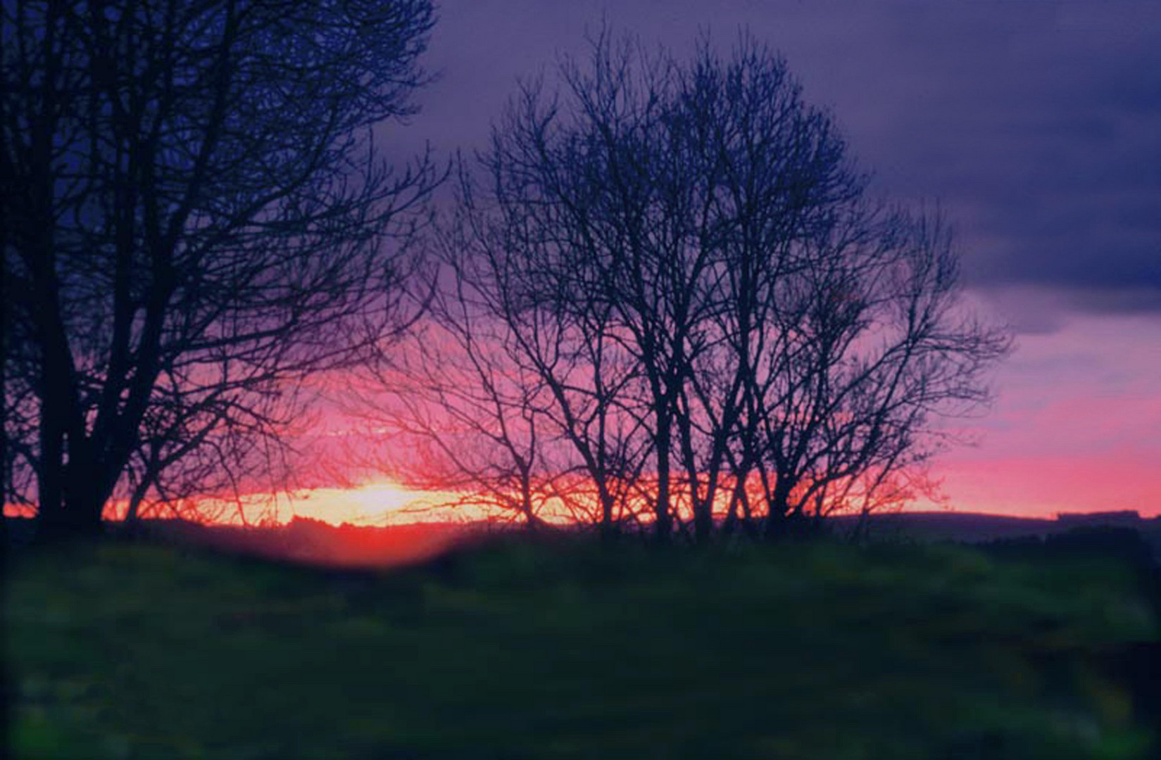 Amanecer rojo