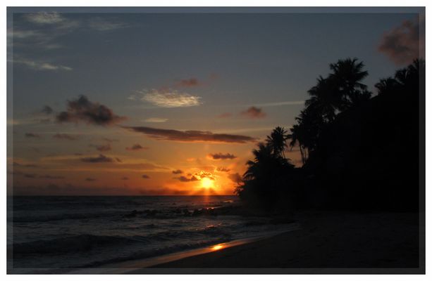 amanecer tropical I.