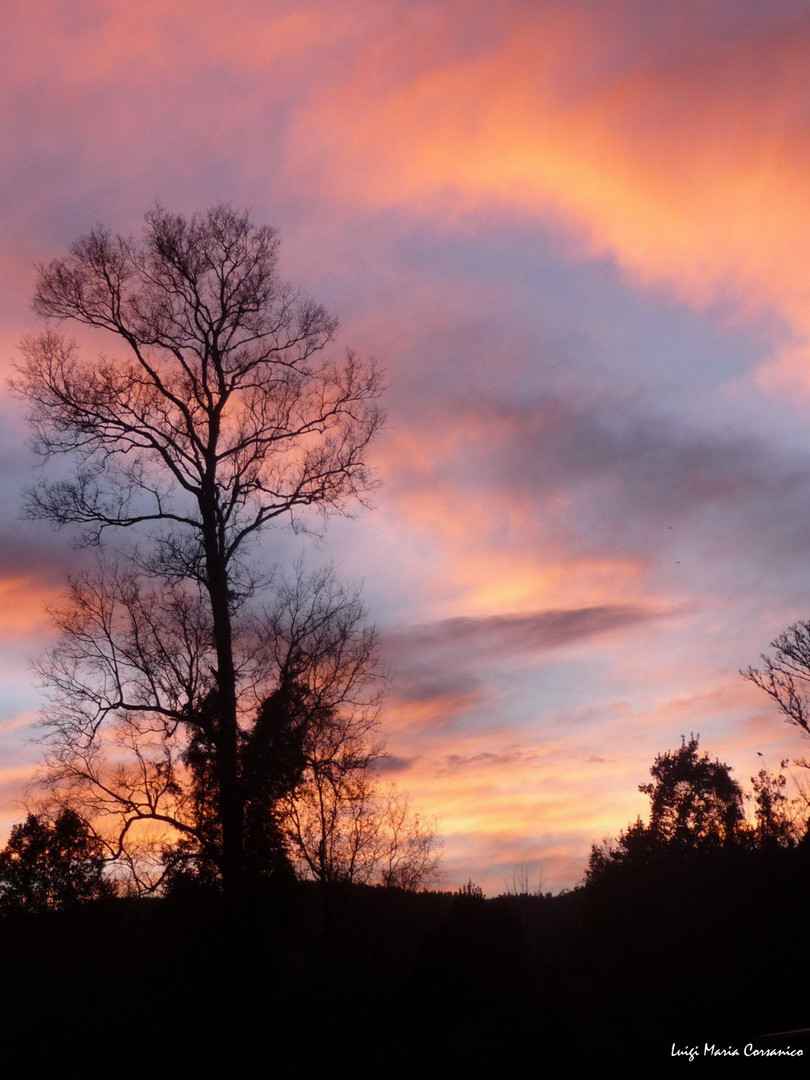 Amanecer. Valdivia, Las Parras - Sur de Chile