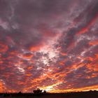 Amanecer:Camion saliendo del infierno