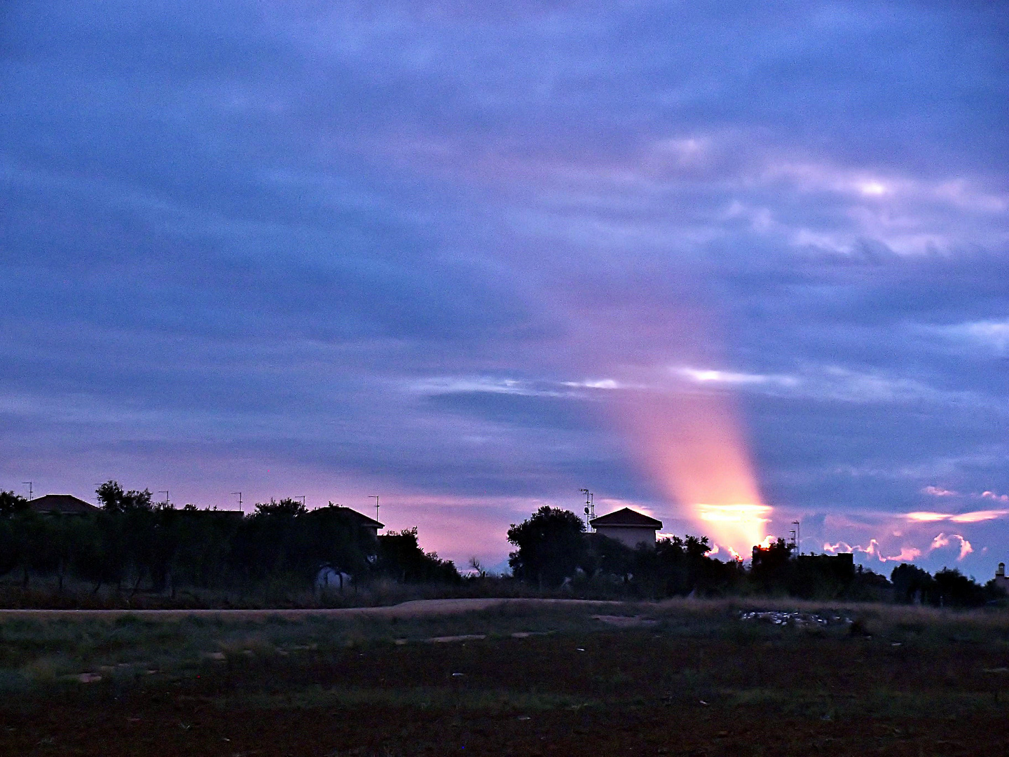 AMANECIENDO