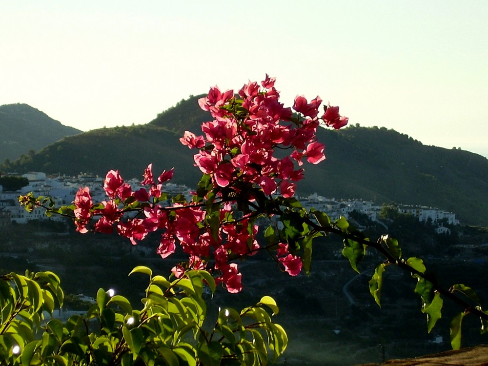 Amaneciendo en Frigiliana