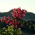 Amaneciendo en Frigiliana