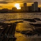 AMANECIENDO EN RIAZOR