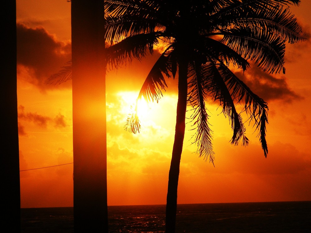 amaneciendo en tulum