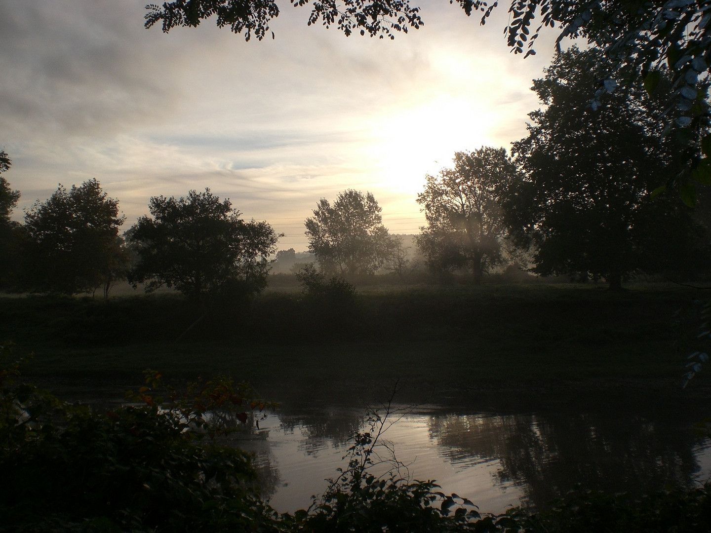 Amaneciendo entre la bruma