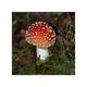 Pilze