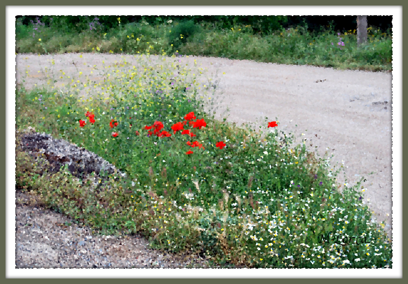 amapolas en el camino