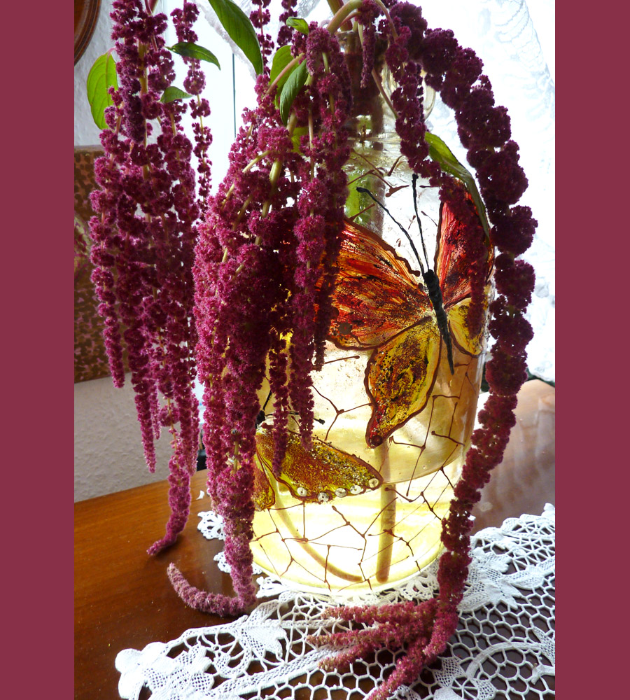 Amaranthus - Fuchsschwanz