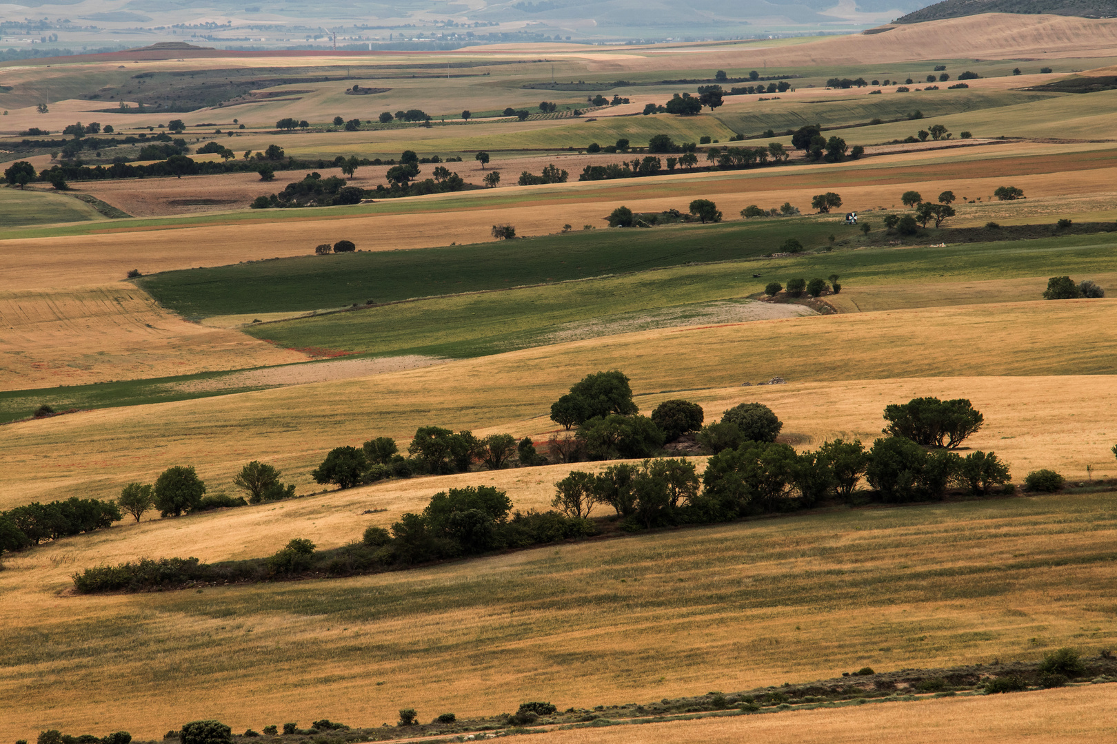 Amarillo y Verde