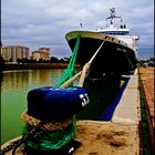 amarrado en el puerto de Sevilla