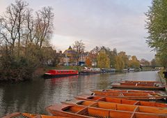  Amarrage de « punts »  près du pont « Magdalene Bridge »  --  Cambridge  *