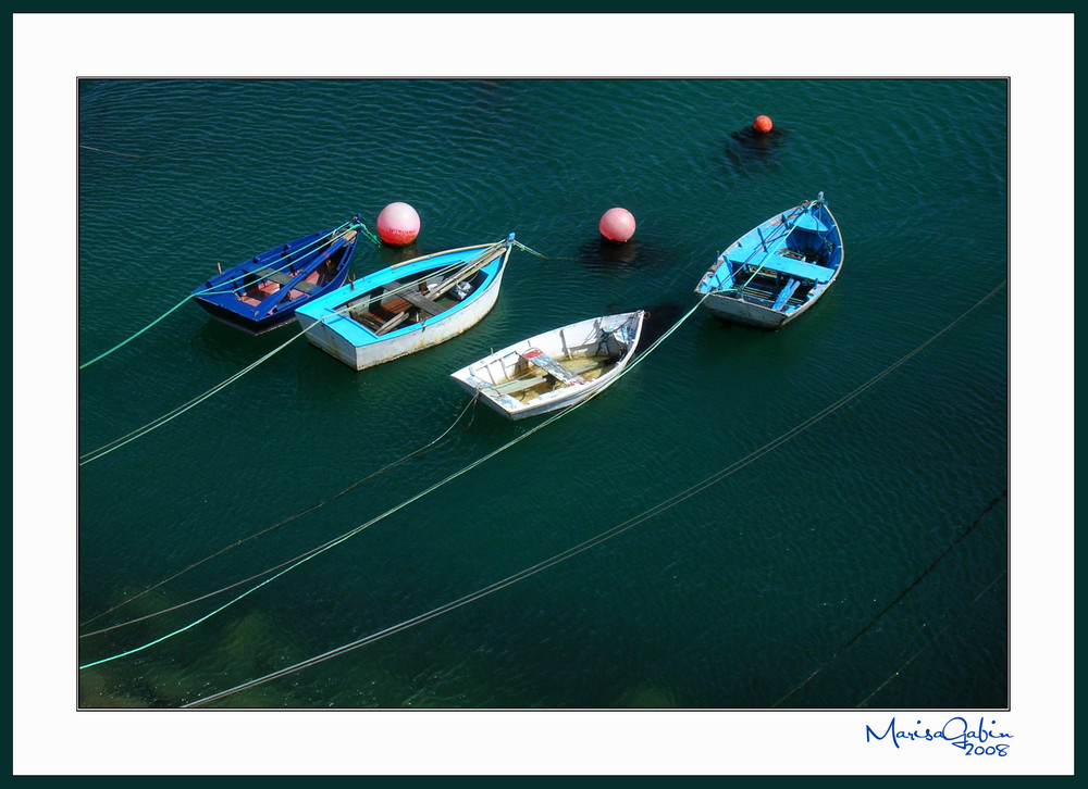 Amarras, Barcas y Boyas