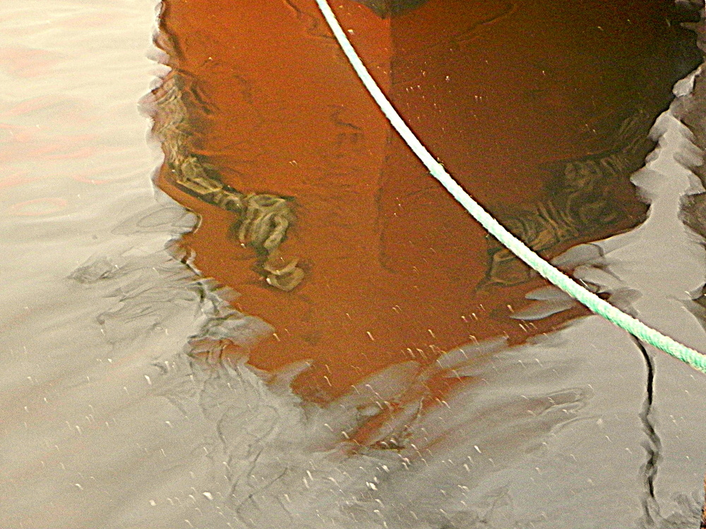 amarras reflejos