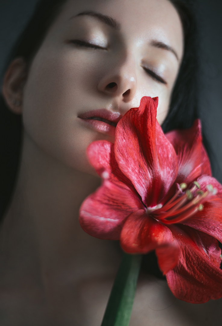 AMARYLLIS