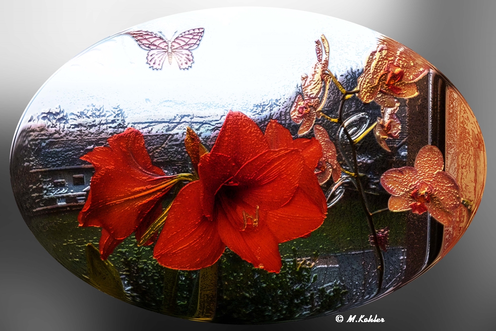 Amaryllis....