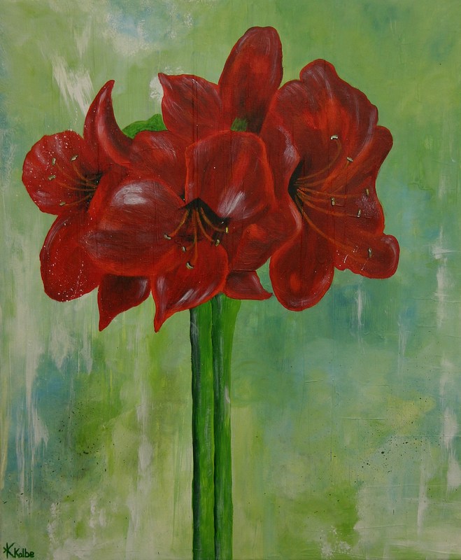 Amaryllis