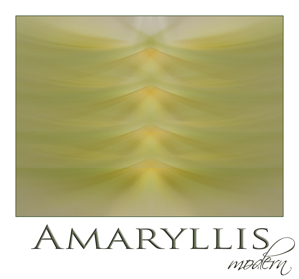 Amaryllis modern