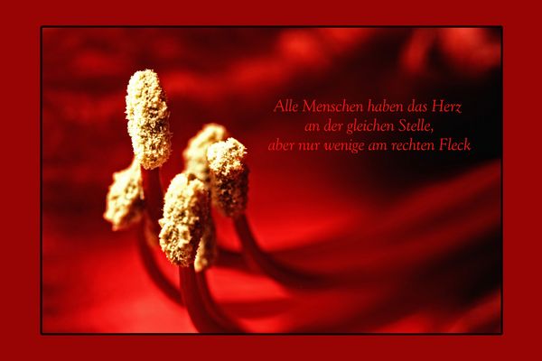 Monika Siegel Fotos Bilder Fotografin Aus Allgau Fotocommunity