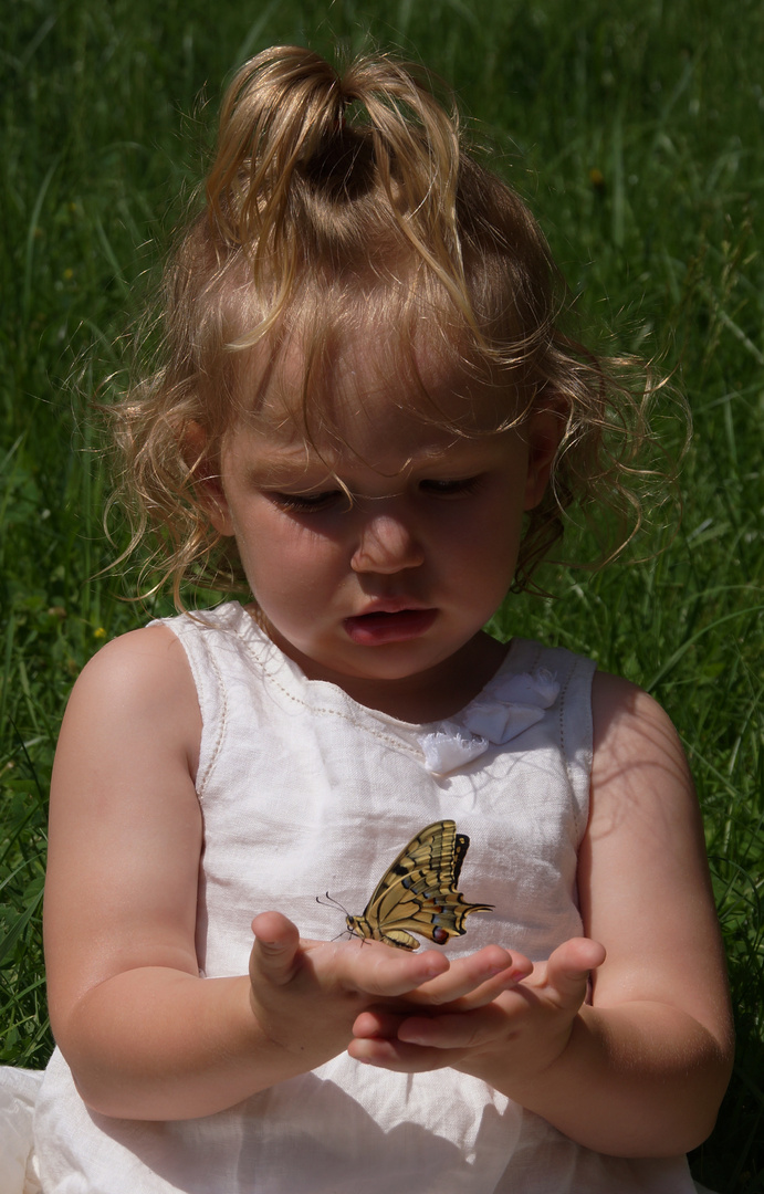 Amaya die Schmetterlingflüsterin.....(Schnappschuss,ooc)