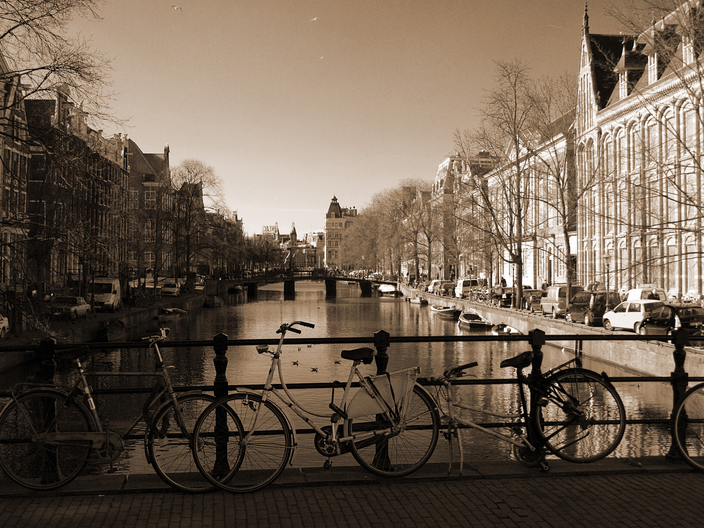 Amazing Amsterdam