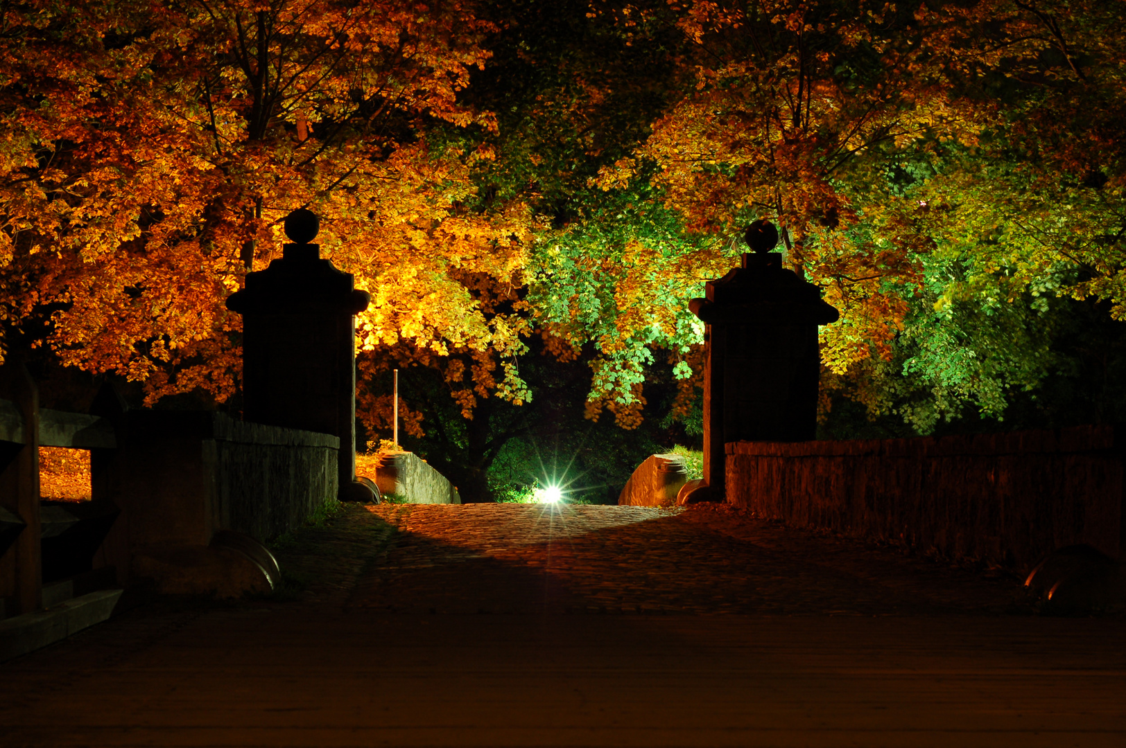 Amazing autumn night