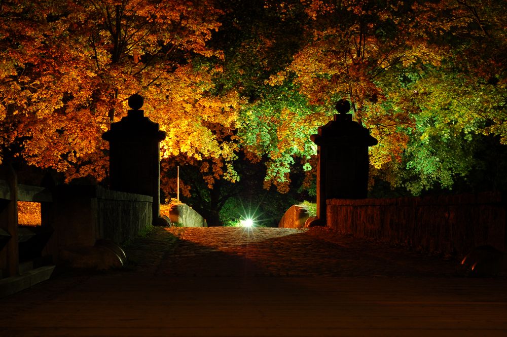 Amazing autumn night