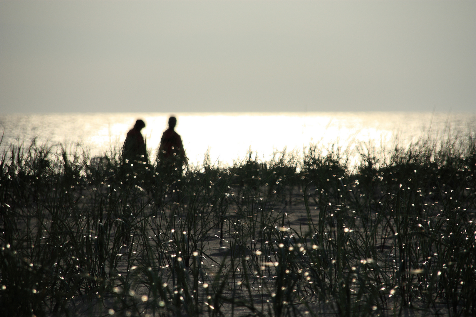 Amazing Beach Walk