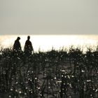 Amazing Beach Walk