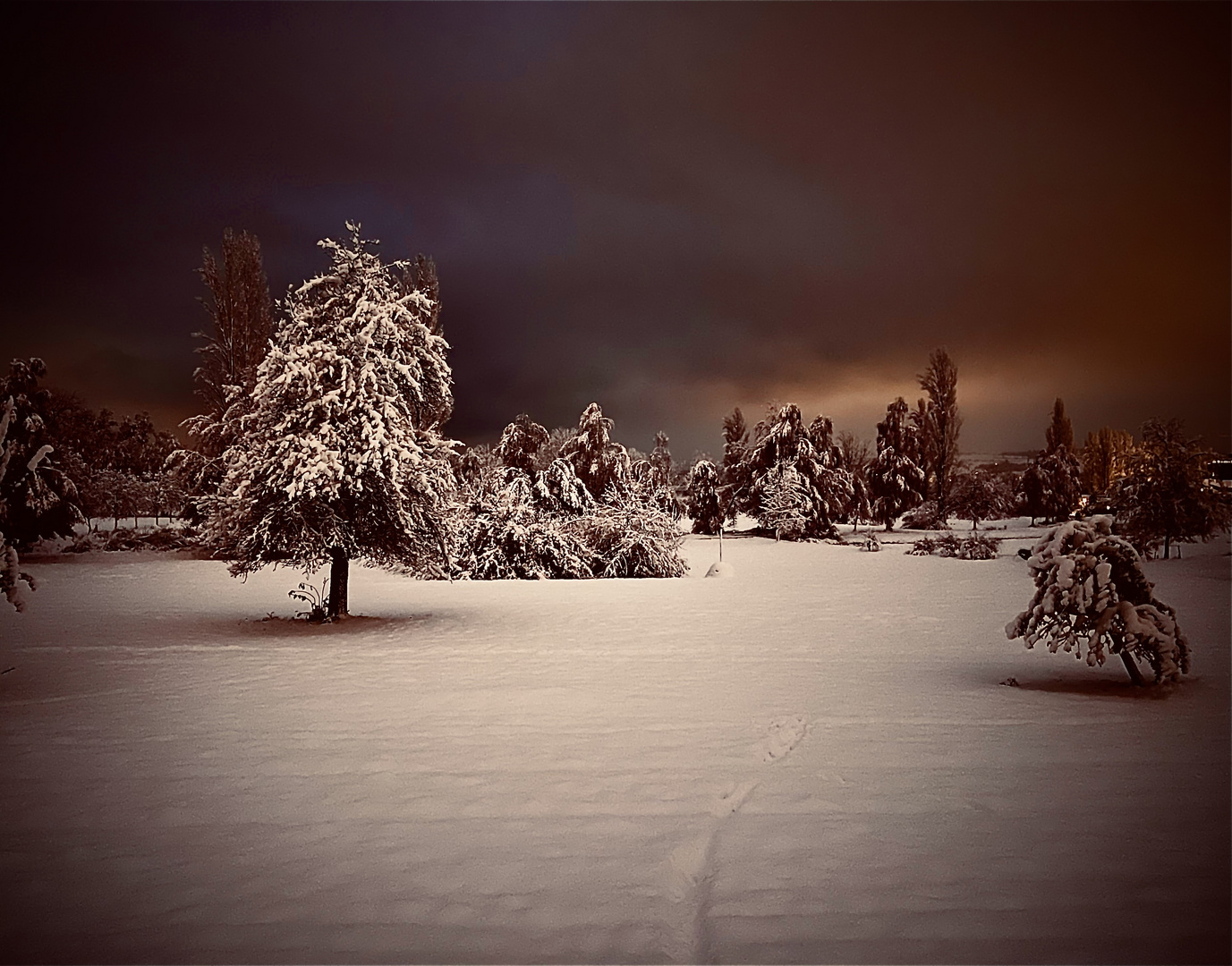 Amazing snow landscape