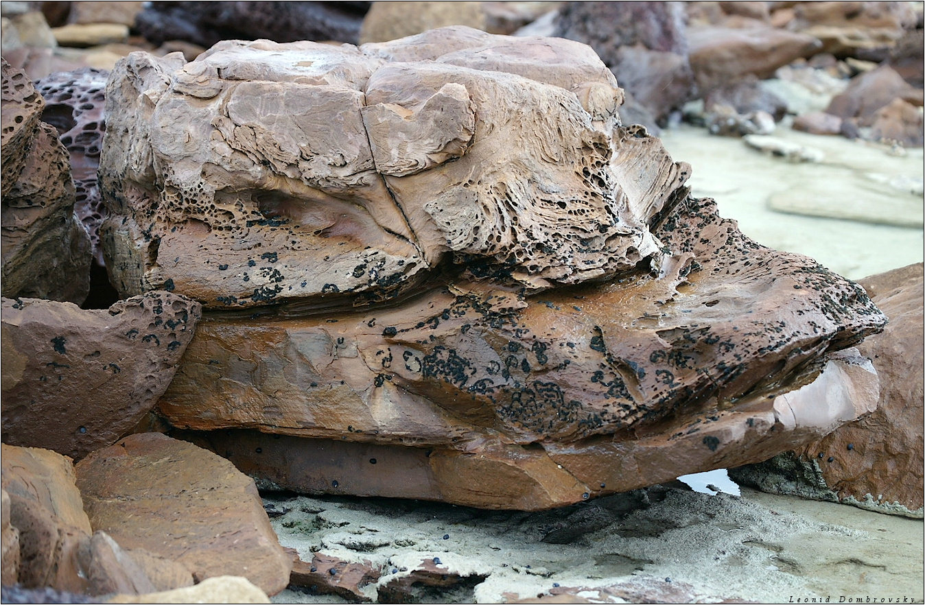 Amazing stones of Stokes Bay
