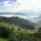 Amazing Uganda