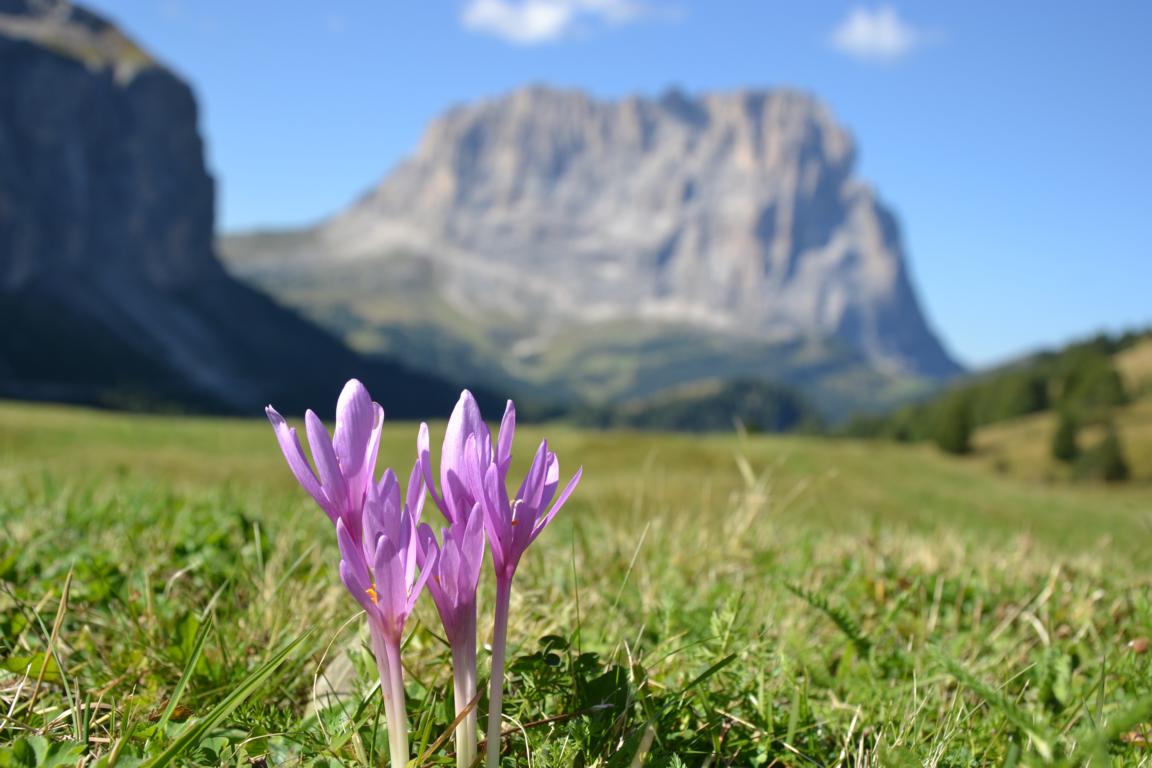 Amazing view from Passo Gardena - Grödnerjoch