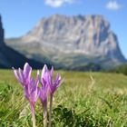 Amazing view from Passo Gardena - Grödnerjoch