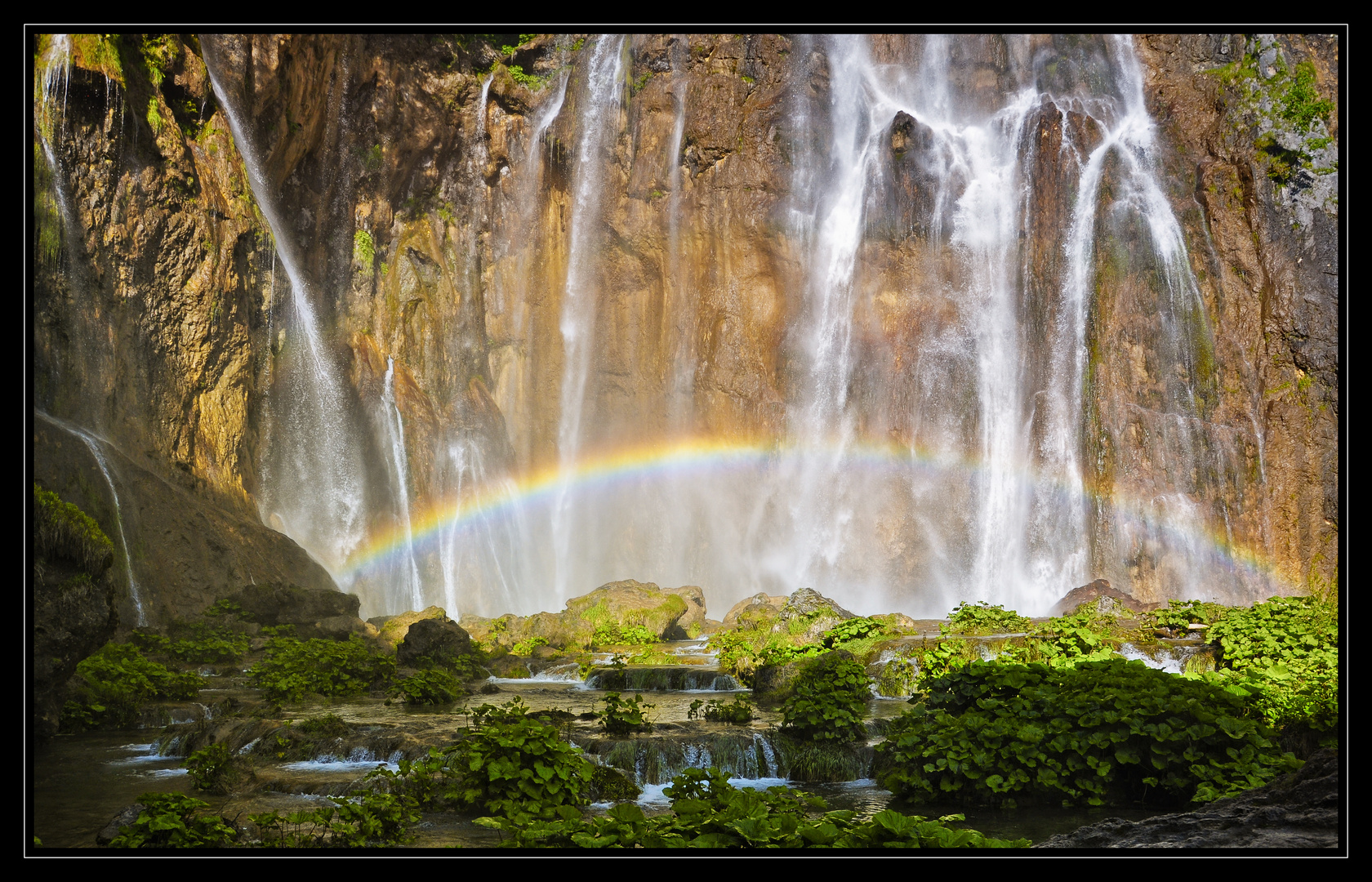 Amazon Rainbow