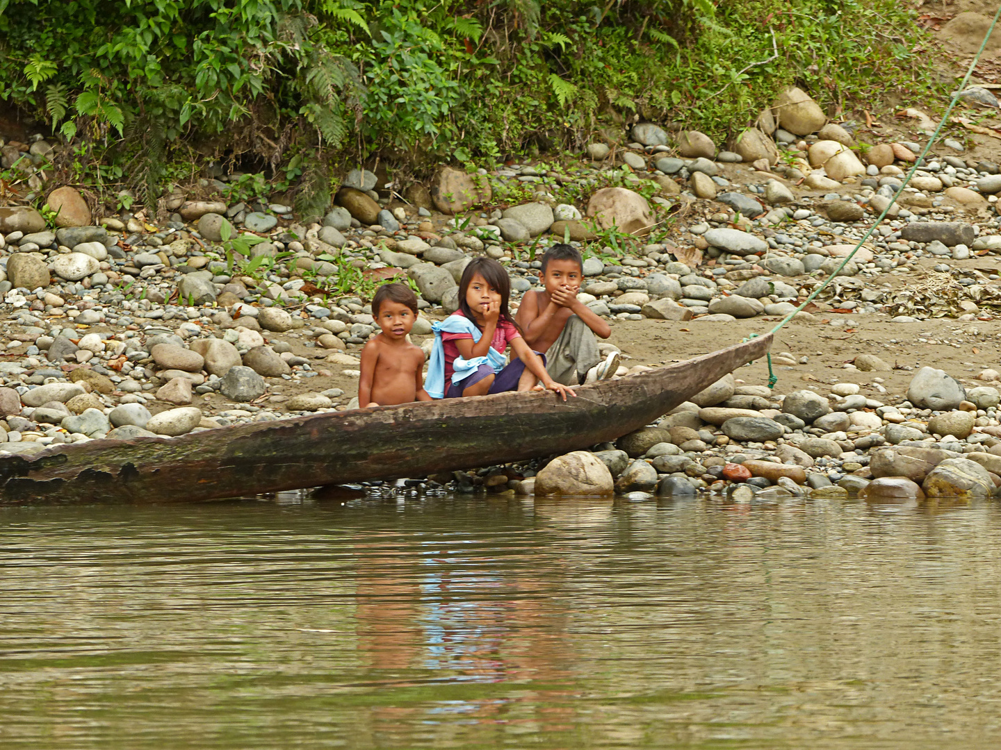 Amazonas