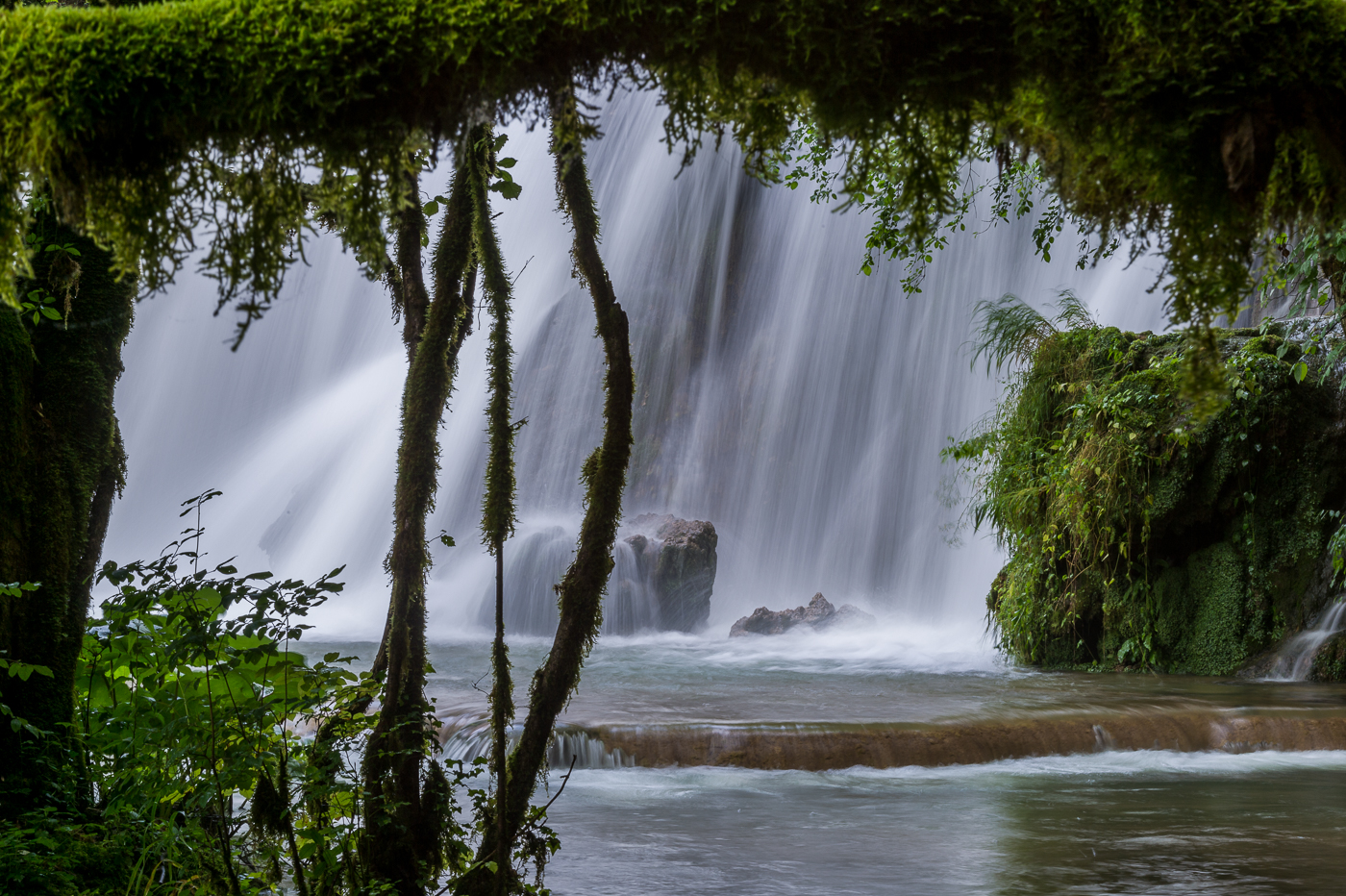 Amazonas ?