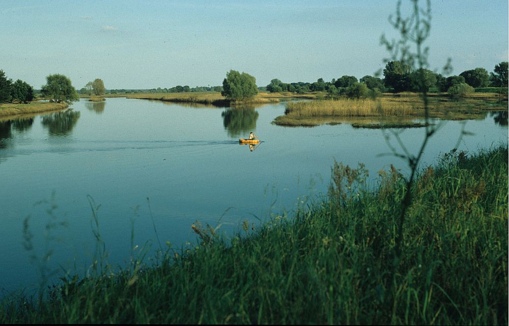 Amazonas 2