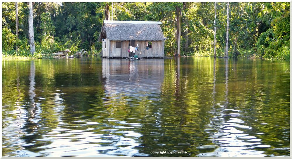 Amazonas 3 ................ einsames Leben am grossen Strom