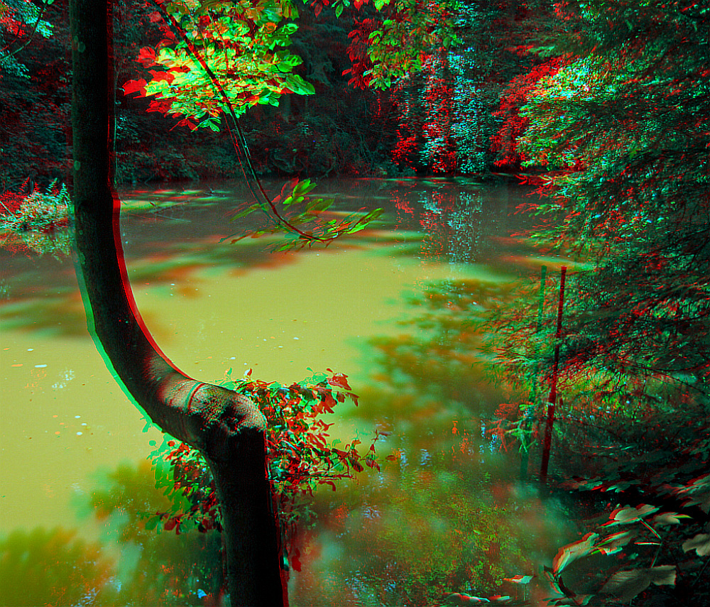 Amazonas... (3D-Anaglyphe)