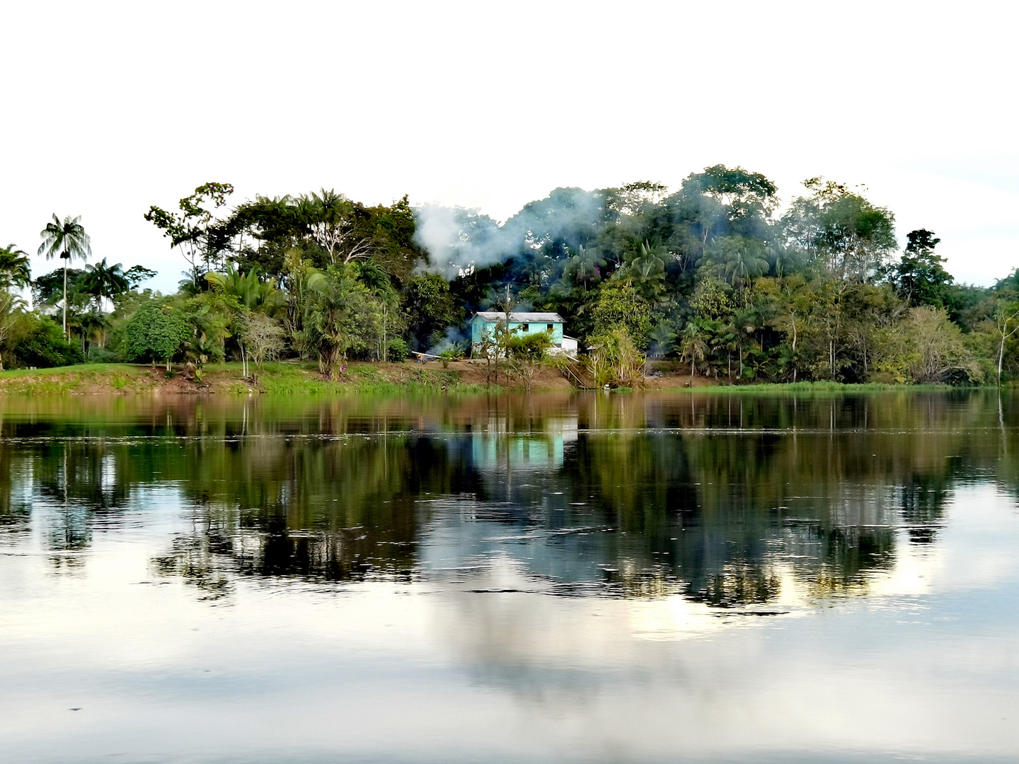 Amazonas