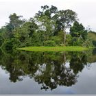 Amazonas 5 Wasserader durch den Dschungel......