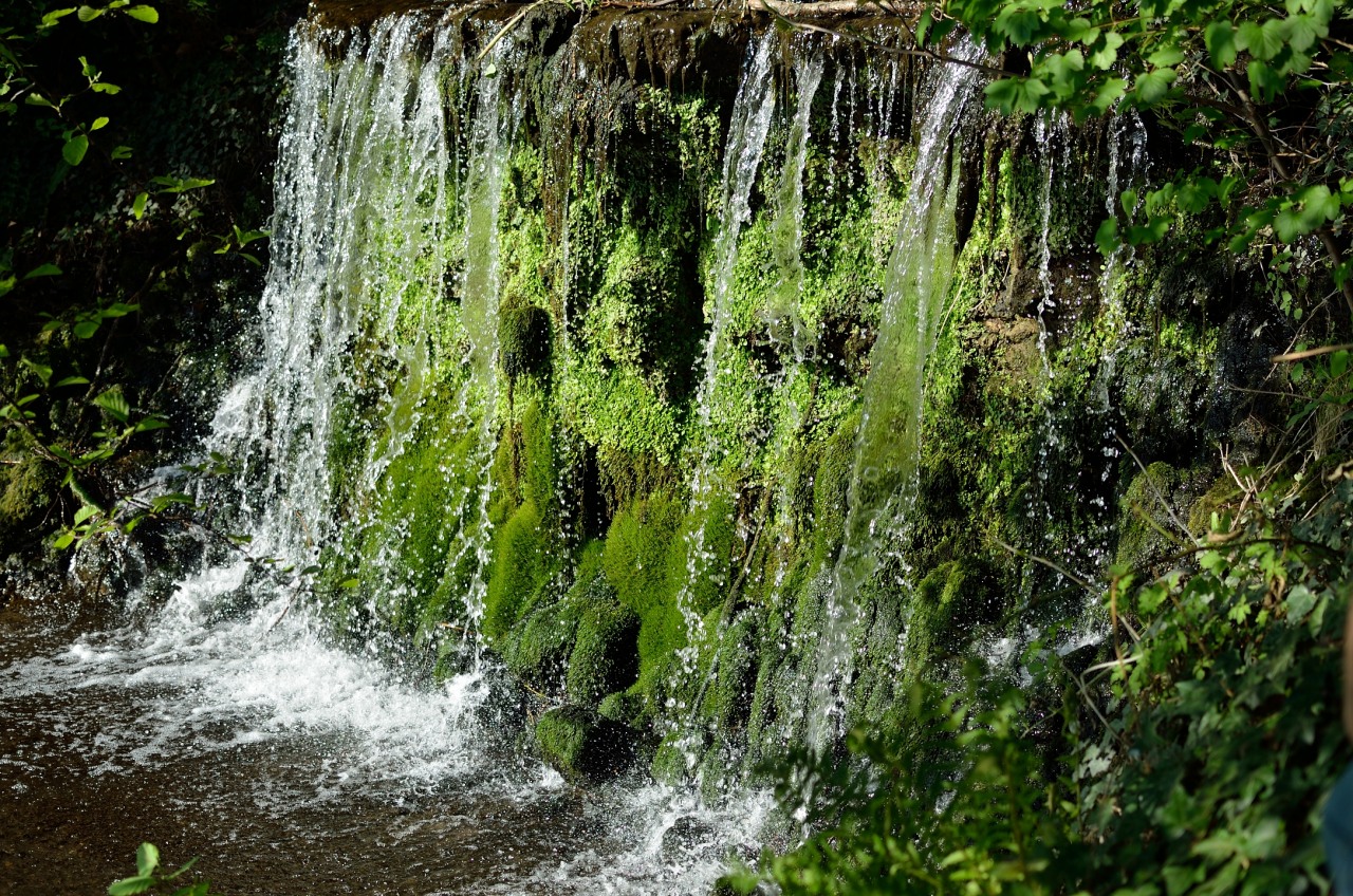 Amazonas...