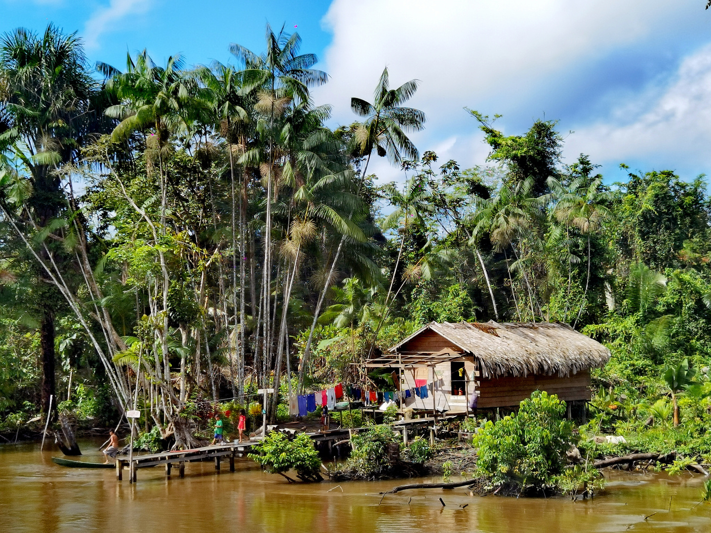 Amazonas