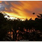 Amazonas 8, traumhafte Sonnenuntergänge