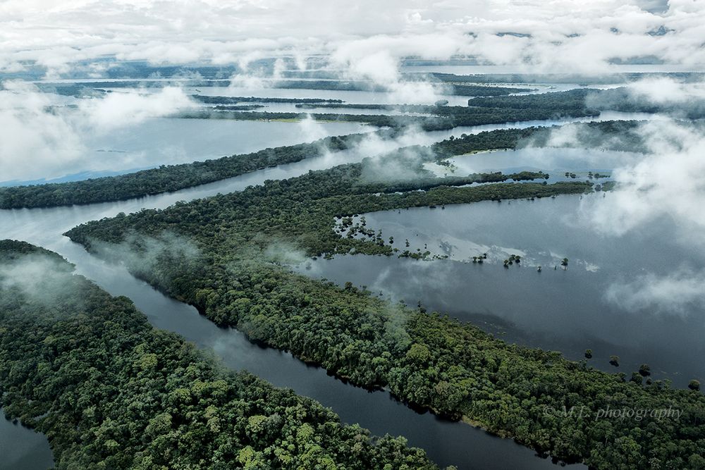 Amazonas